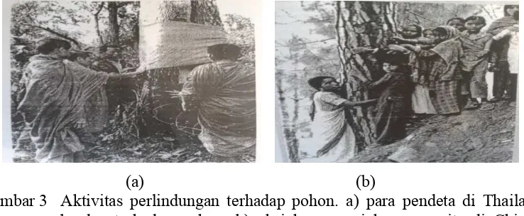 Gambar 3   Aktivitas perlindungan terhadap pohon. a) para pendeta di Thailand berdoa terhadap pohon