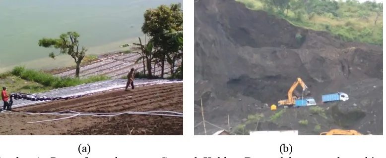 Gambar 4   Pemanfaatan kawasan Geopark Kaldera Batur oleh masyarakat sekitar (a) pemanfaatan sebagai perkebunan (subak abian)