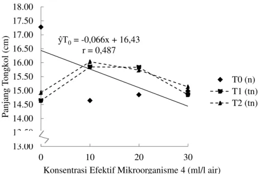 Gambar  3.  Panjang  tongkol  jagung  manis  pada  interaksi  perlakuan  konsentrasi  EM 4   dengan  dosis 