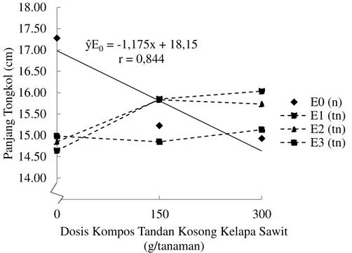 Gambar  4.  Panjang  tongkol  jagung  manis  pada  interaksi  perlakuan  dosis  kompos  TKKS  dengan  konsentrasi EM 4 