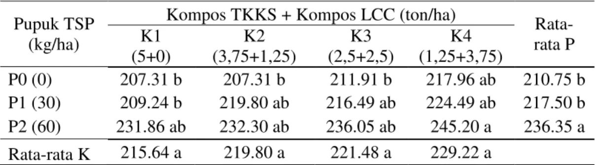 Tabel 7. Rata-rata hasil per m 2  tanaman sorgum (g) dengan pemberian campuran  kompos TKKS dengan kompos LCC dan pupuk fosfor