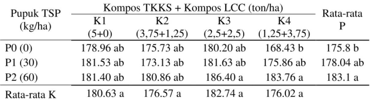 Tabel  1.  Rata-rata  tinggi  tanaman  sorgum  (cm)  dengan  pemberian  campuran  kompos TKKS dengan kompos LCC dan pupuk fosfor