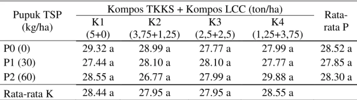 Tabel  5.  Rata-rata  panjang  malai  sorgum  (cm)  dengan  pemberian  campuran  kompos TKKS dengan kompos LCC dan pupuk fosfor