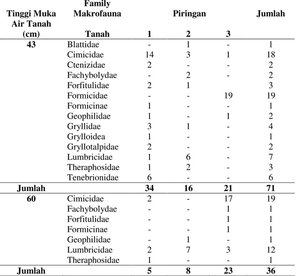 Tabel  1.  Hasil  identifikasi  makrofauna  tanah  di  piringan  pada  tinggi  muka  air  tanah 43 cm dan 60 cm