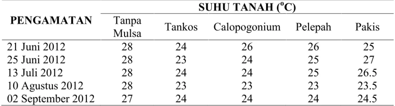 Tabel 5. Rata-rata suhu tanah di bawah tegakan kelapa sawit dengan pemberian mulsa organik.