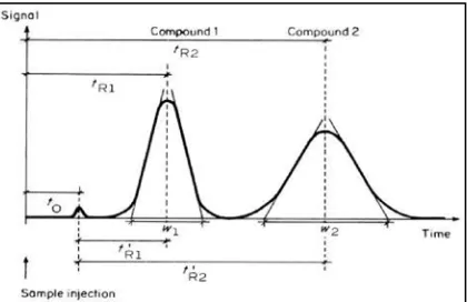 Gambar 2.4 Kromatogram dua puncak hasil analisis KCKT (Meyer, 2004) 