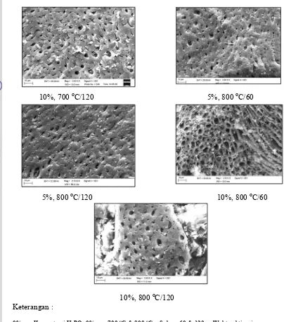 Gambar  6.    Struktur permukaan tempurung nyamplung, arang dan arang aktif 