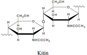 Gambar 1. Struktur kitin (Pujaatmaka, A H., 1991 dalam Rakhmawati., 2007)