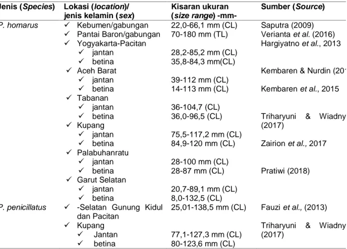 Tabel 1. Struktur ukuran lobster pasir (P. homarus) dan lobster batu (P. penicillatus) di berbagai perairan Table 1