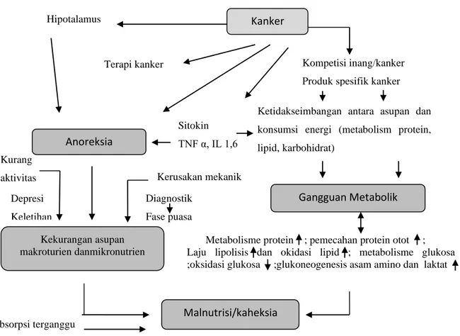 Gambar 2.3 Penyebab malnutrisi pada pasien kanker (Yasin, 2015). 