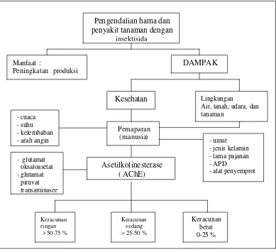 Gambar 1    Bagan Alir Kerangka Pemikiran. 