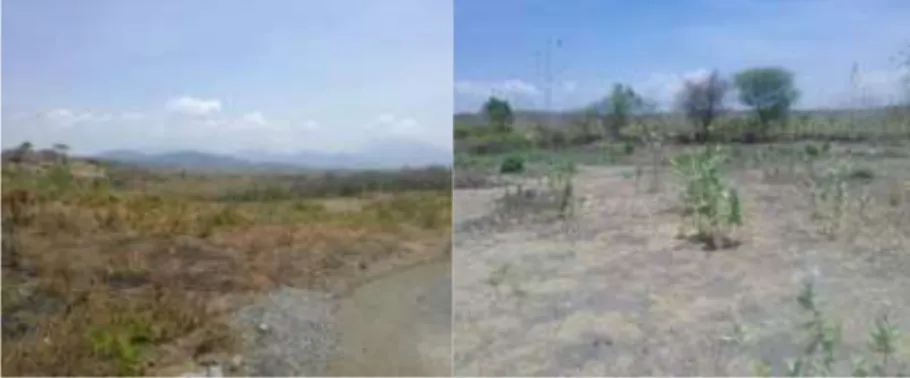 Gambar 1.  Lahan Kritis Desa Tambak Ukir Kecamatan Kendit 