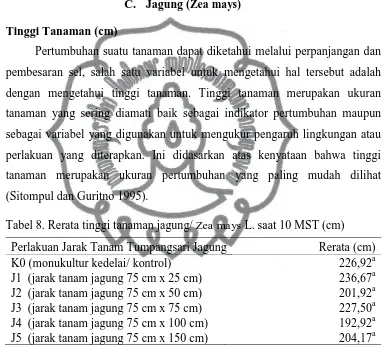 Tabel 8. Rerata tinggi tanaman jagung/ Zea mays L. saat 10 MST (cm) 