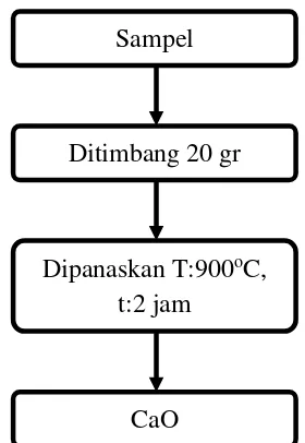 Gambar 3.1 Diagram Alir Preparasi Sampel 