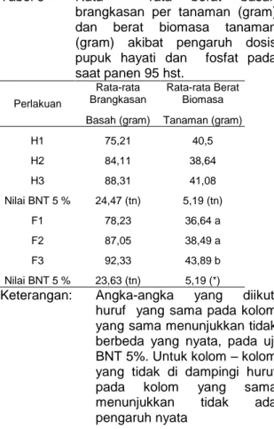 Tabel 6   Rata  –  rata  berat  basah  brangkasan  per  tanaman  (gram)  dan  berat  biomasa  tanaman  (gram)  akibat  pengaruh  dosis  pupuk  hayati  dan    fosfat  pada  saat panen 95 hst
