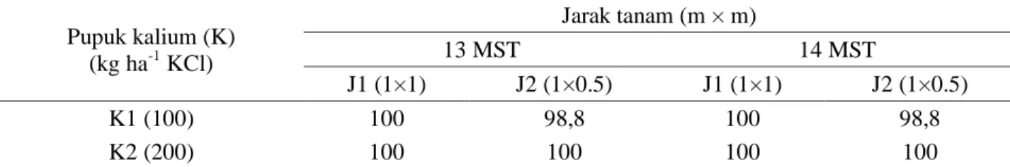 Tabel  1.  Pengaruh  interaksi  perlakuan  jarak  tanam  dan  dosis  pupuk  kalium  terhadap  persentase  tanaman  hidup pada 13 dan 14 MST 