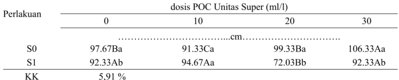 Tabel 1. Pengaruh sediaan salut dan POC US terhadap tinggi pada tanaman kedelai (Glycine max L