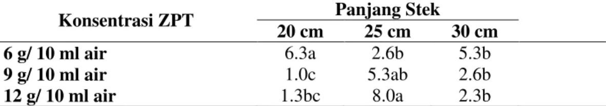 Tabel 4.  Rerata  jumlah  akar  sebelum  bibit  buah  naga  ditanam  (helai)  dengan  panjang stek dan konsentrasi ZPT yang berbeda 