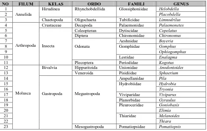 Tabel 3.1 Klasifikasi Makrozoobentos yang Didapatkan pada Setiap Stasiun Penelitian di Danau Lut Tawar 