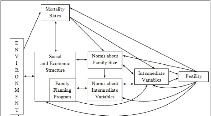 Gambar 1. A Model for the Sociological Analysis of Fertility Levels
