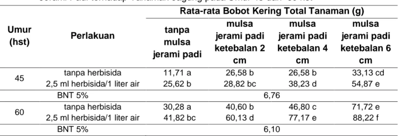 Tabel 6  Rata-rata Bobot Kering Total Tanaman Akibat Interaksi Perlakuan Herbisida dan Mulsa  Jerami Padi terhadap Tanaman Jagung pada Umur 45 dan  60 hst 
