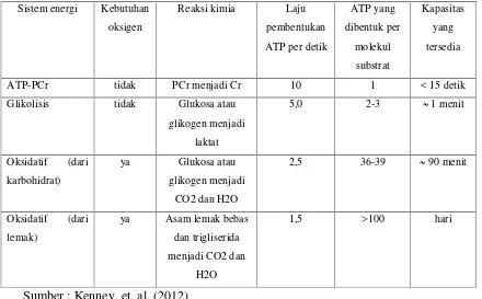 Tabel 2.  Karakteristik berbagai sistem suplai energi