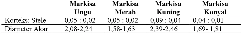 Tabel 4.2.1.1 Tabel Rasio Korteks : Stele dan Diameter Akar Pada Akar Beberapa Markisa (mm) 