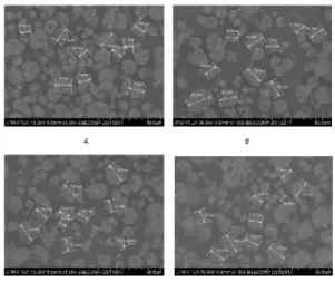 Gambar 5. Bentuk granula tepung mocaf pada perlakuan pemberian  isolat  bakteri  indigenous ubi ketan (A), lambau (B), karet (C)  dan kontrol (D).