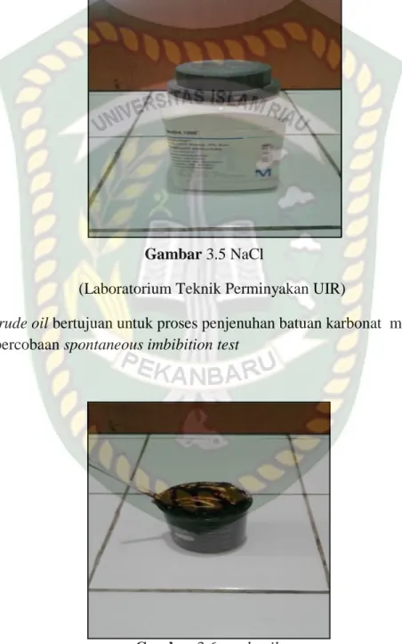 Gambar 3.5 NaCl 