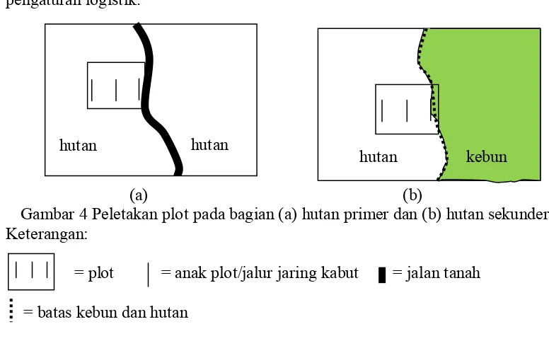 Gambar 4 Peletakan plot pada bagian (a) hutan primer dan (b) hutan sekunder. 