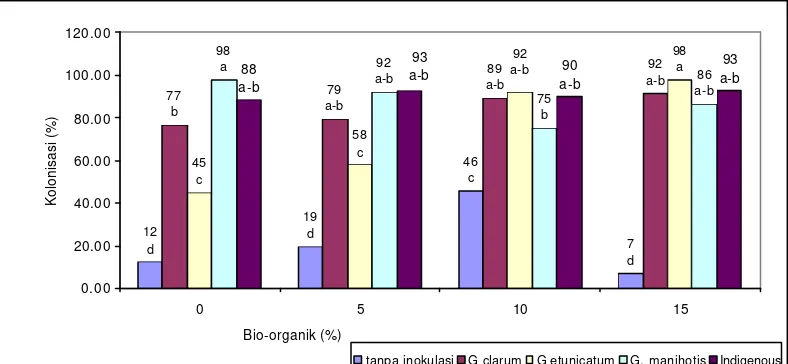 Gambar 2.  Pengaruh  Interaksi  Inokulasi  CMA  dan   Bio-organik  terhadap    persen kolonisasi akar A