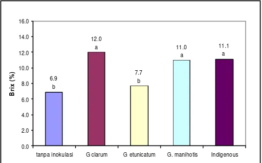 Gambar 11. Pengaruh berbagai jenis CMA terhadap kandungan glukosa pada daun tanaman A