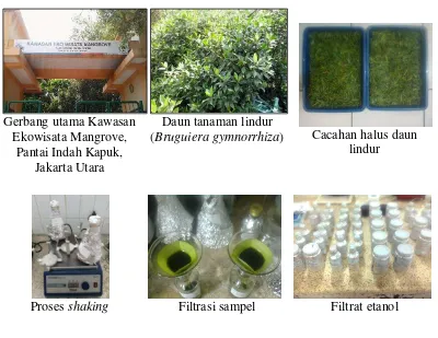 Tabel 4 Alokasi penggunaan dana PKM Penelitian 