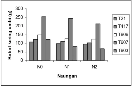 Tabel 2. Interaksi naungan tanaman karet dan klon terhadap kadar klorofil a (mg/g daun segar) talas pada umur 20 MST  