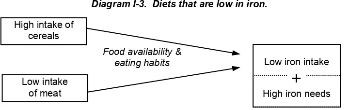 Table I-1.  Foods that increase the bioavailability of iron or enhancers.6 