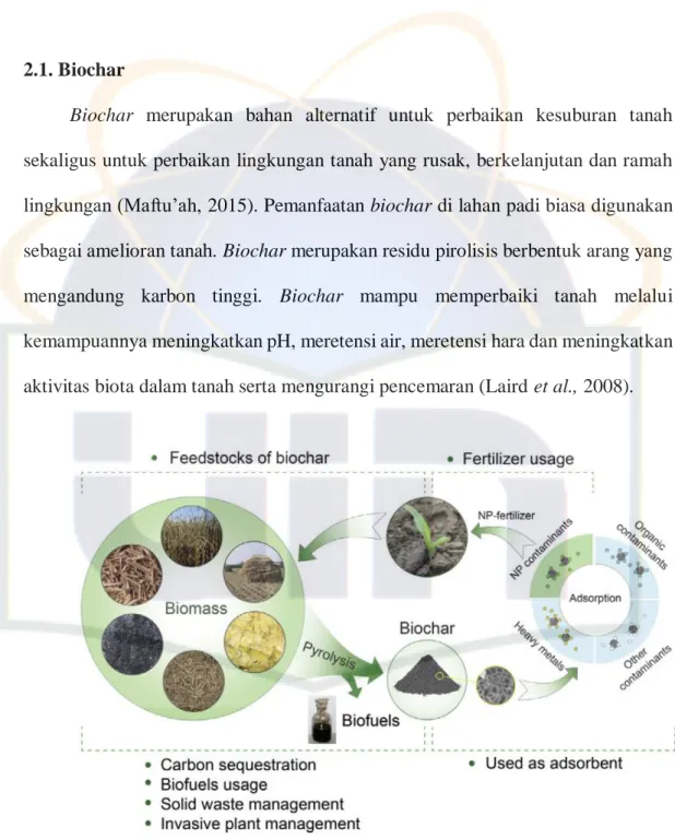 Gambar 1. Biochar (Tan et al, 2015). 