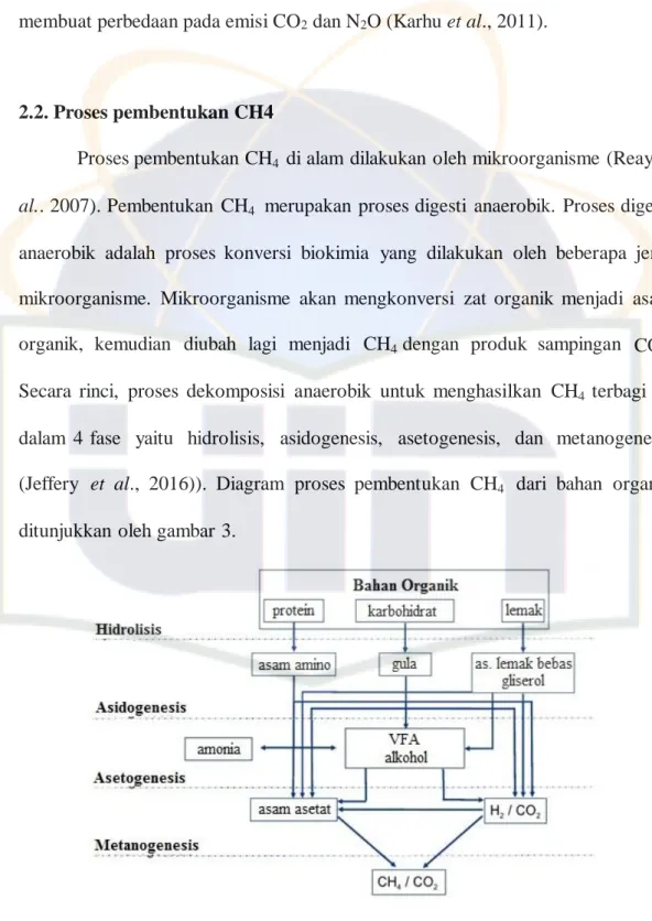 Gambar 3. Proses produksi CH 4  dari bahan organik secara anaerobik 
