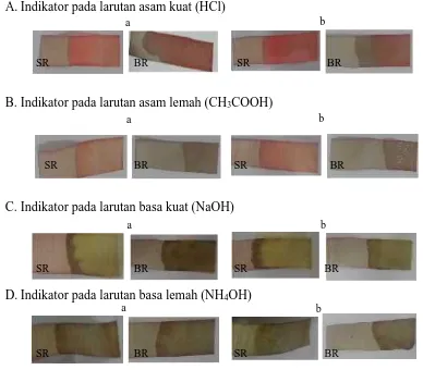 Gambar 2. Perbandingan hasil uji kertas indikator asam basa dari ekstrak mahkotabunga Malvaviscuspenduliflorus menggunakan kertas saring (SR) dan kertas buram (BR) pada pengujian asam kuat(HCl), asam lemah (CH3COOH), basa kuat (NaOH), basa lemah (NH4OH) dengan lama perendaman40 menit (a) dan lama perendaman 30 menit (b).