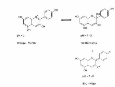Gambar 5. Mekanisme perubahan struktur antosianin terhadap pH(Pratama,2013)