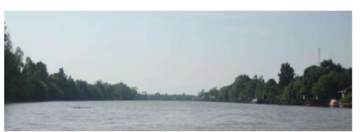 Gambar 4. Pengembangan Potensi Transportasi Sungai Kahayan  Pola Permukiman Di Kawasan Tepian Sungai 