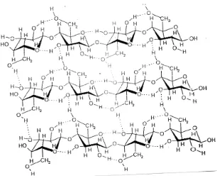 Gambar 2.1. Struktur selulosa (Deman, 1980) 