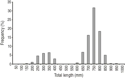Figure 2. Length frequency distributions of othonopterusCynoscion from the Upper Gulf of California.Figura 2.
