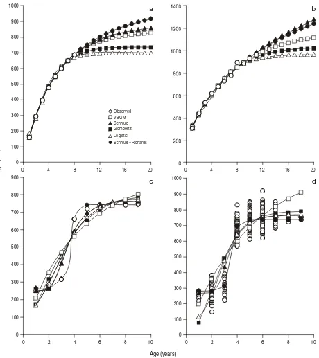 Figure 3. Growth curves generated by five models for each data set for Cynoscion othonopterus from the Upper Gulf of California