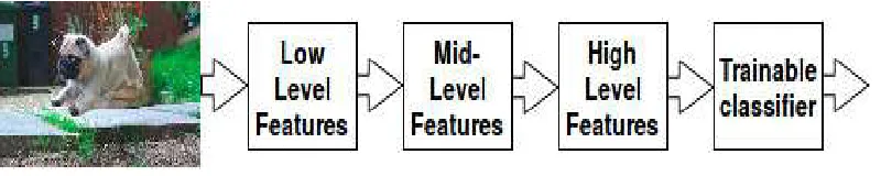 Figure 2. A. An image and extraction of its features by CNN 