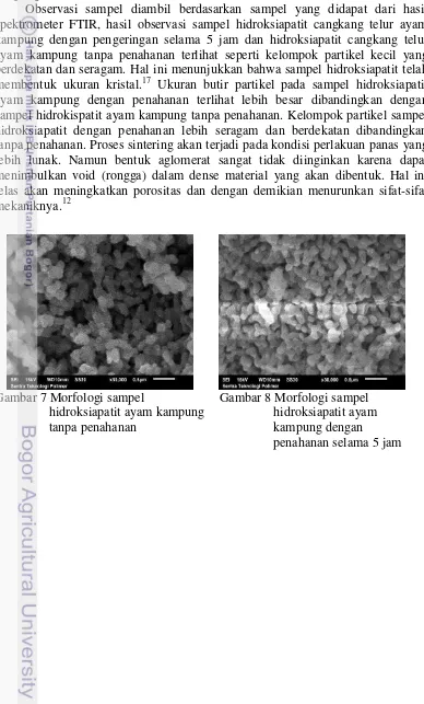 Gambar 7 Morfologi sampel 