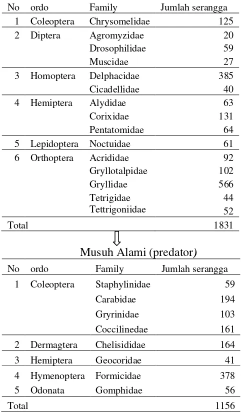 Tabel 6. Skema Interaksi Trofik jenis serangga pada pertanaman varietas jagung   PRGNK603 perlakuan penyiangan manual