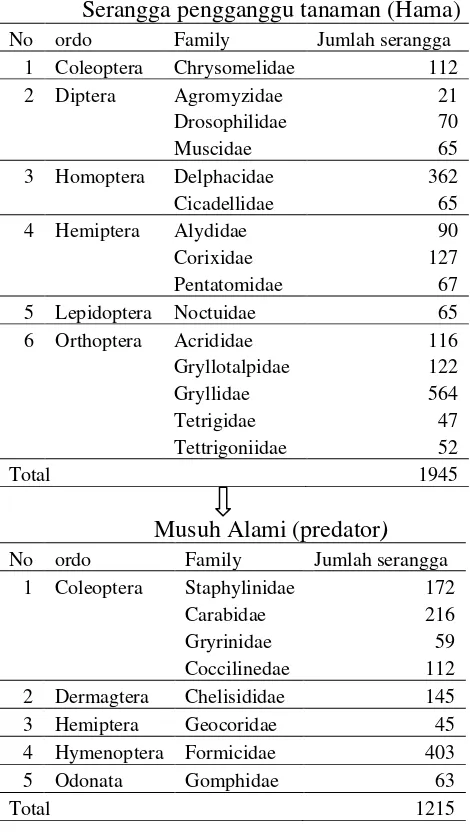 Tabel 10. Skema Interaksi Trofik jenis serangga pada pertanaman varietas jagung C7  perlakuan penyiangan manual