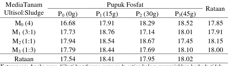 Tabel 3. Rataan kecepatan mata stum melentis pada berbagai perlakuan  sludge kelapa sawit dan pemberian pupuk fosfat umur 1-21 HST