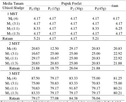 Tabel 4. Rataan persentase stum bertunas (%) pada berbagai perlakuan sludge kelapa sawit dan pemberian pupuk fosfat umur 1-3 MST