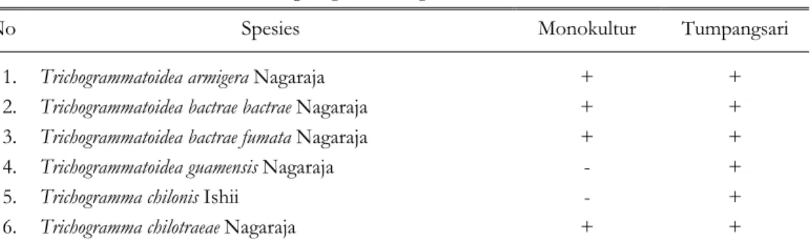 Tabel 3.   Keanekaragaman spesies parasitoid telur H. armigera pada kapas  monokultur dan tumpangsari dengan kedelai